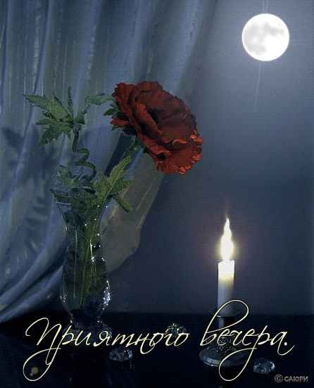 Вечера доброго