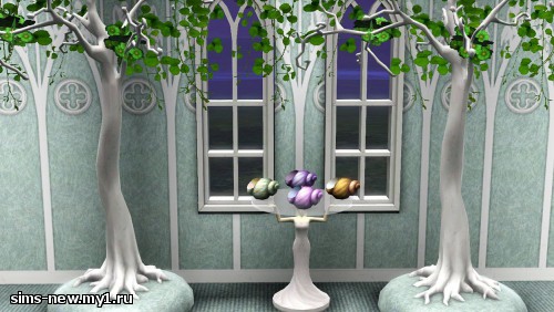 MTS_kithri-1320040-Table-and-shells.jpg