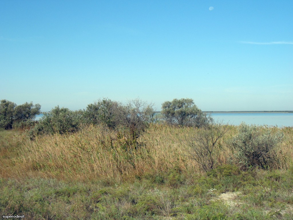 2012 , 09.05 часть 1 243о.jpg