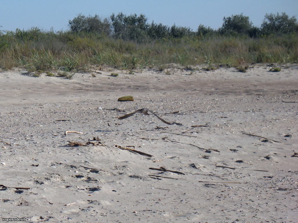 2012 , 09.05 часть 1 218о.jpg