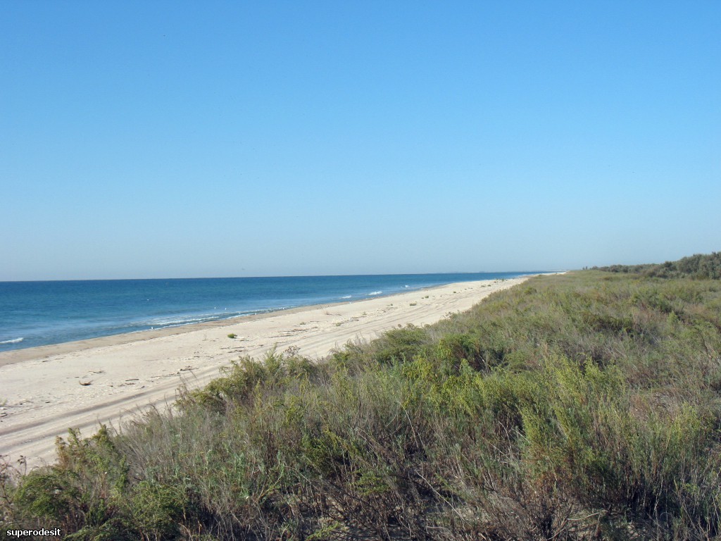 2012 , 09.05 часть 1 242о.jpg