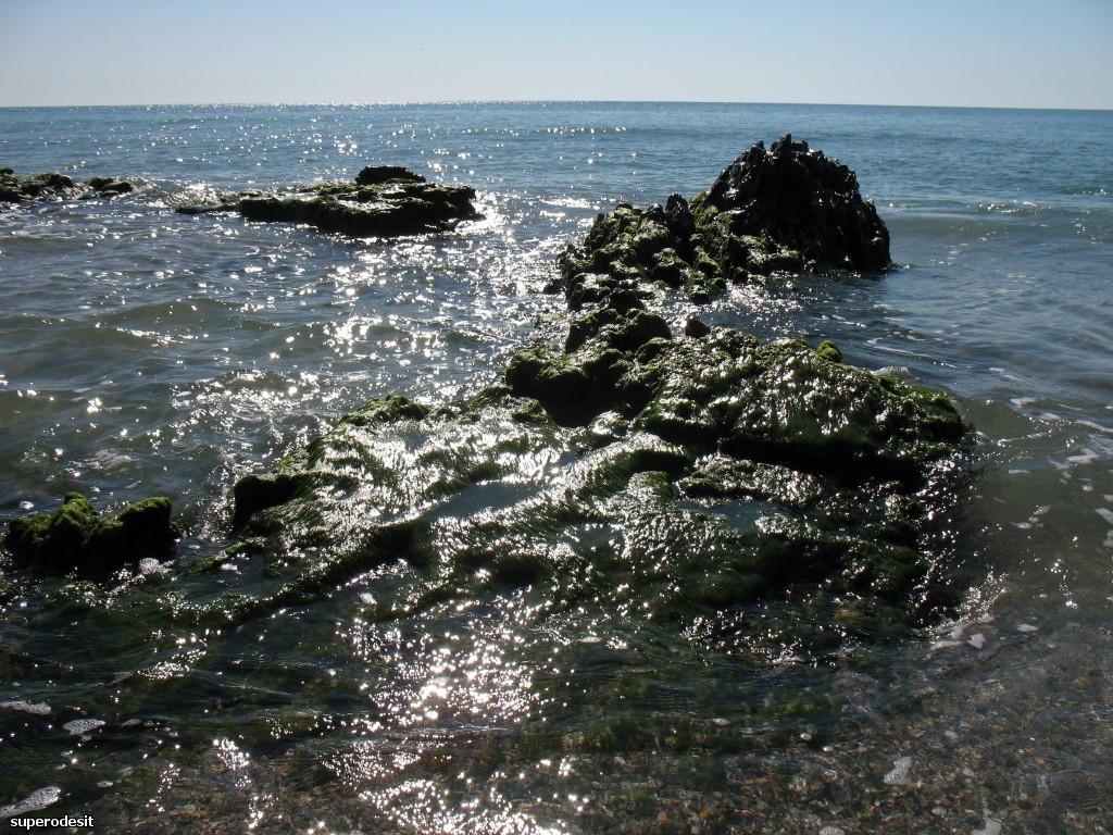 2012 , 09.05 часть 1 261о.jpg