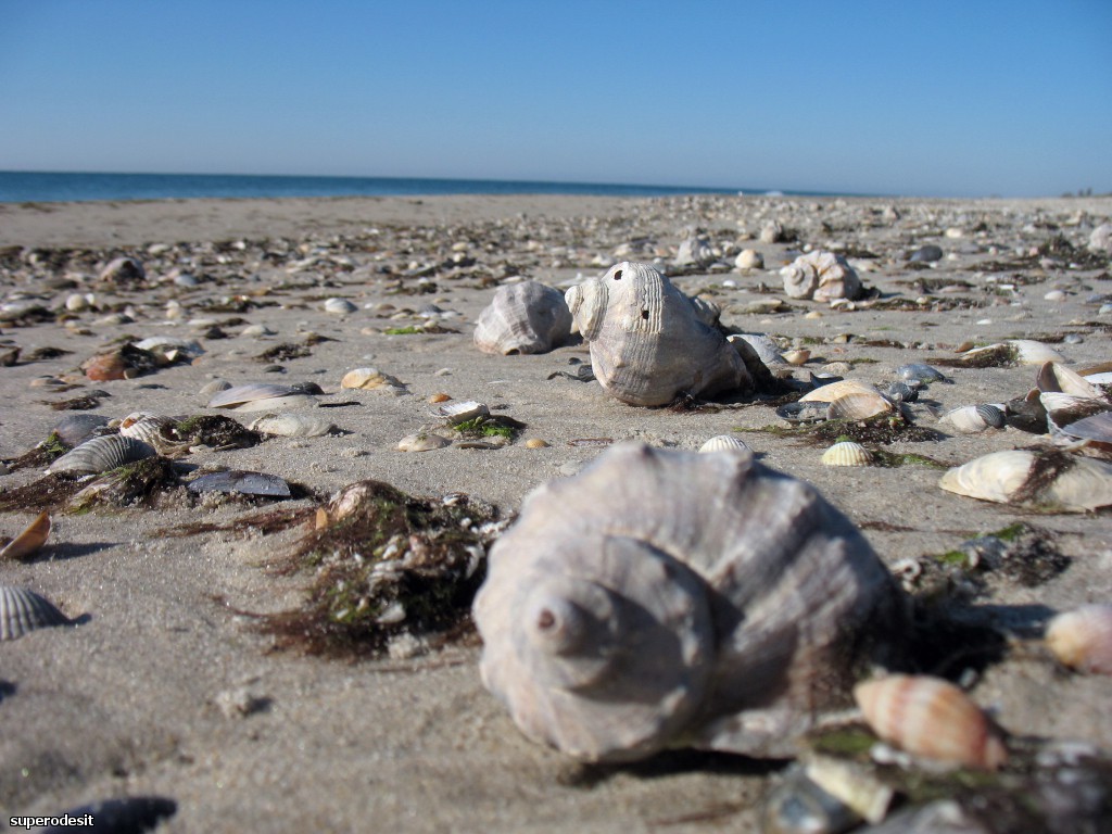 2012 , 09.05 часть 1 232о.jpg