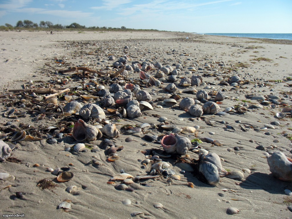 2012 , 09.05 часть 1 230о.jpg