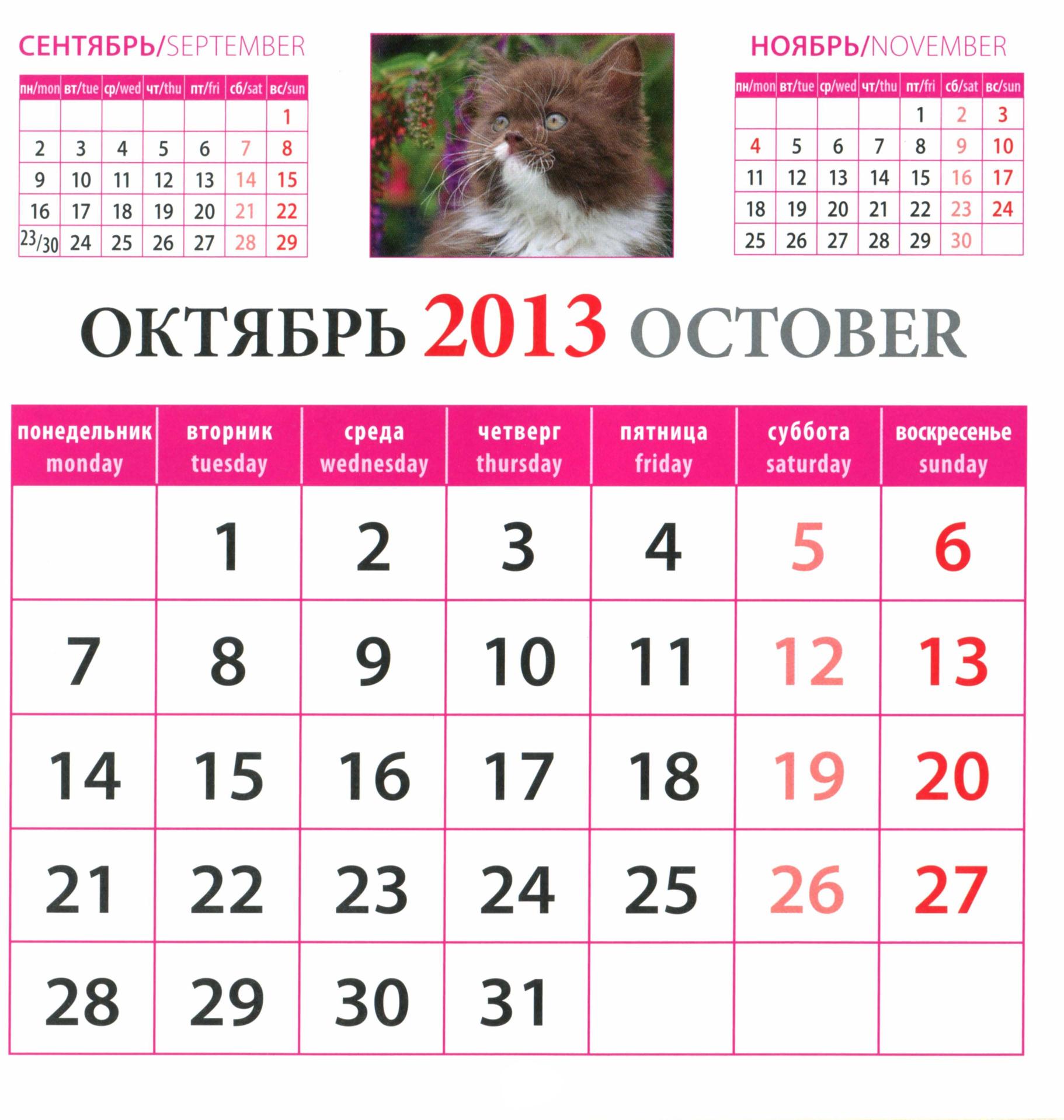 Февраль 2013 года календарь. Календарь 2013 года по месяцам. Календарь за 2013 год. Производственный кален. Выходные дни в 2013 году.