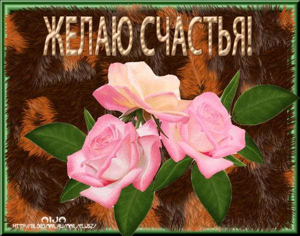 Желаем счастья