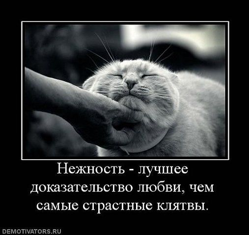 Нежность -лучшее доказательство любви