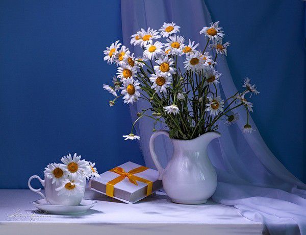 Букет ромашек