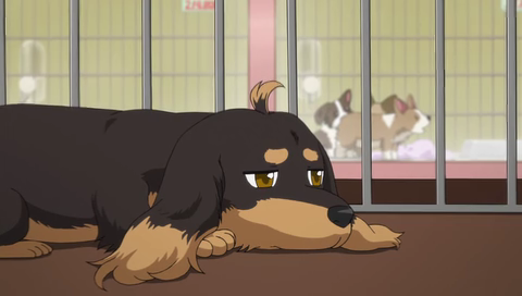 Inu to Hasami wa Tsukaiyou [01][BalFor & Shina][RG VGW][13-54-32].PNG