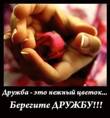 Дружбы