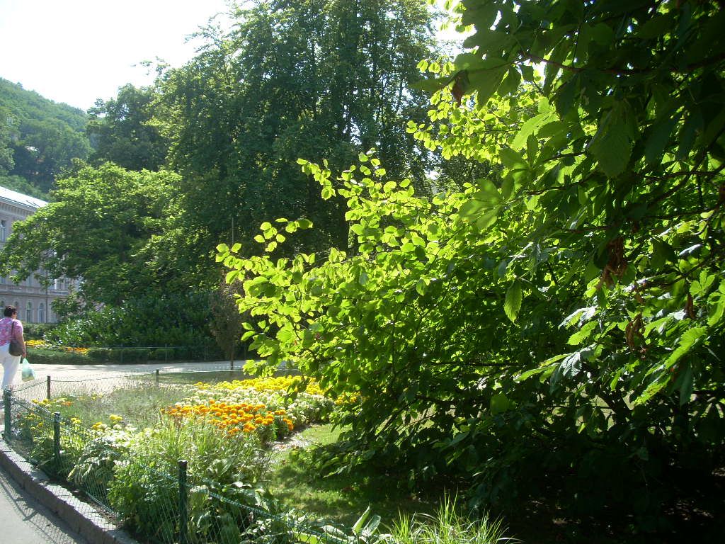 Ботанический сад тюмень