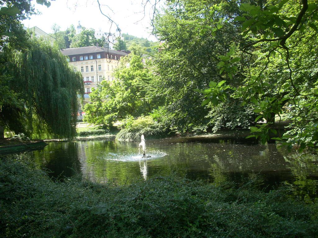 Львов стрийский парк город