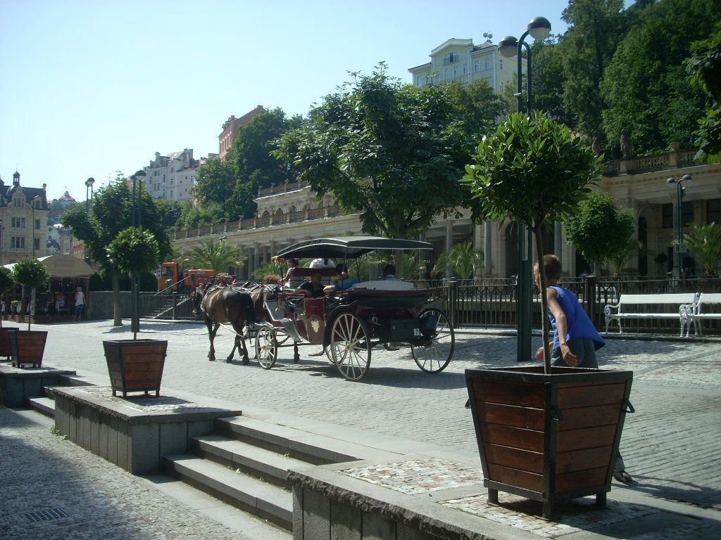 Карета с лошадьми