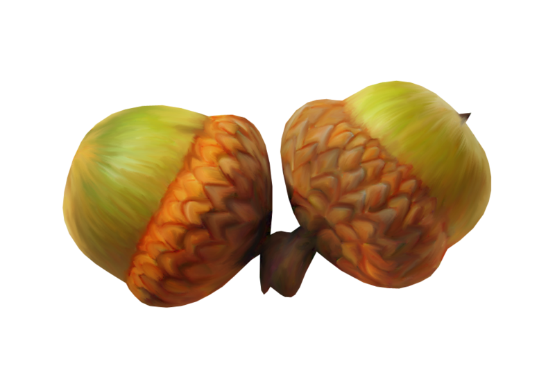acorns9.png