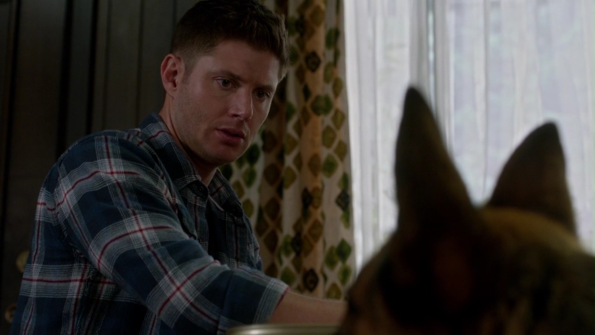 сверхъестественное собака дина. голубь сверх. сэм и дин винчестеры 1 сезон. дин винчестер 1 сезон вендиго. сериал сверхъестественное дин и сэм.