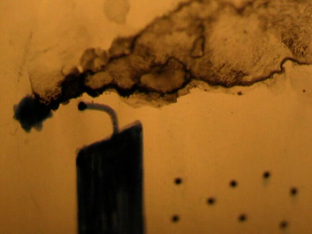 03_11.Bark, You Mongrel, Raise Hell, My Pearl[(004086)18-58-54].PNG