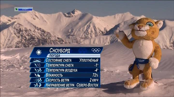 XXII Зимние Олимпийские игры  Сочи  Сноубординг  Мужчины  Женщины  Слоупстайл  Квалификация  НТВ+.av