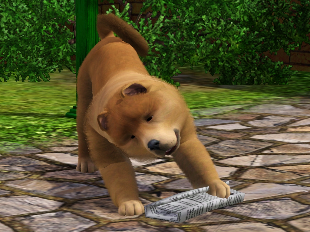 the-sims-3-pets_20111007_1191580522.jpg