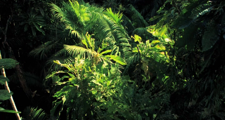 Hidden Beauty. A Love Story That Feeds the Earth[(014812)12-40-11].PNG