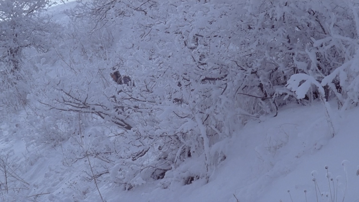 Svolochi.2006.HDDVDRip-AVC.Fredd Kruger.mkv_snapshot_01.19.03_[2014.04.03_23.50.35].png