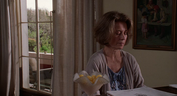 The.Net.1995.bdrip_[1.46]_[teko][(011693)09-37-07].PNG