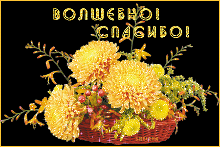 волшебно_спасибо.gif