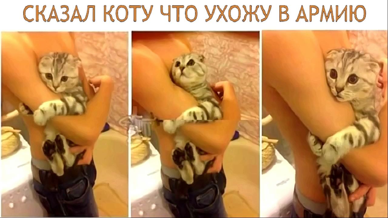 СВОИХ НЕ БРОСАЕМ_20150618000534.jpg