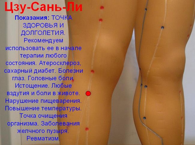 http://i2.imageban.ru/out/2015/08/11/7d634c67ba293a8cdf5e0513ba99d9f6.jpg
