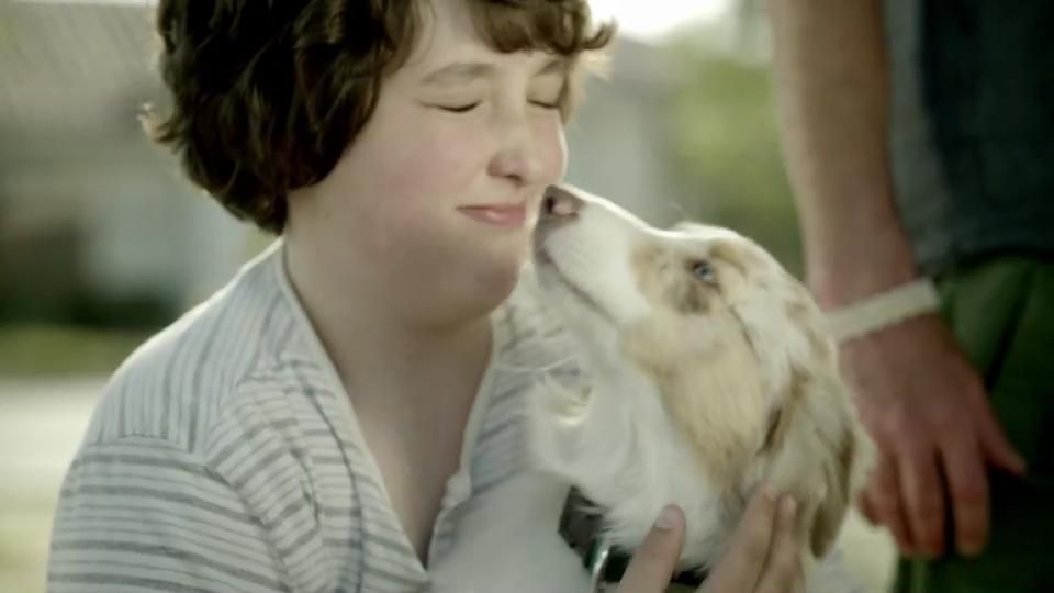 Собака Бандит_трейлер[18-23-36].JPG