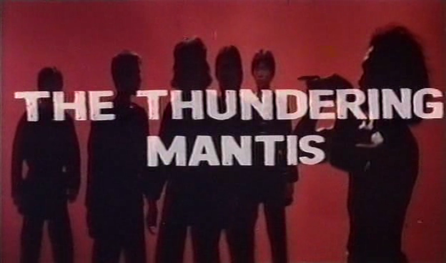 The.Thundering.Mantis.1979.dvdrip_[745]_[teko][(000303)16-12-19].PNG