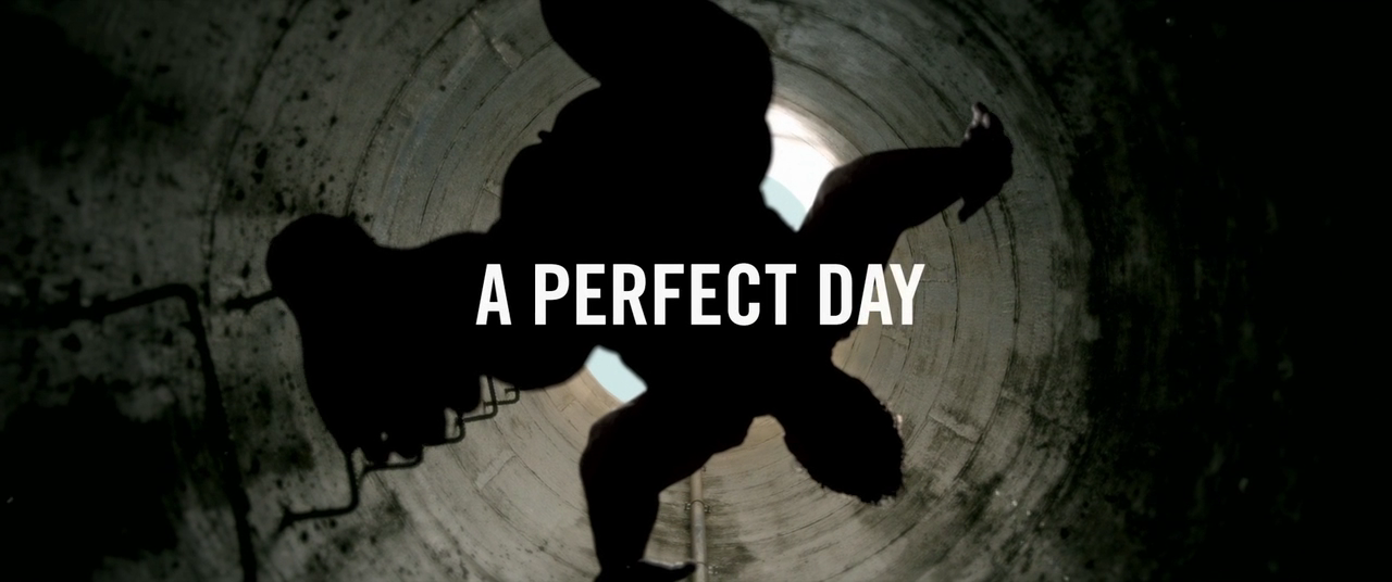 Идеальные дни perfect days. A perfect Day 2015. Perfect Days movie. Perfect Day facility. A perfect Day ciquein.