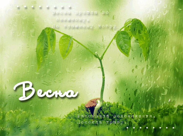 весна.gif