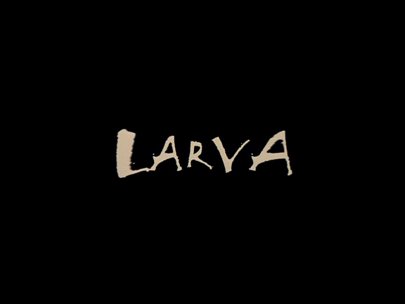 Larva.2005.dvdrip_[745]_[teko][(005043)09-38-01].PNG