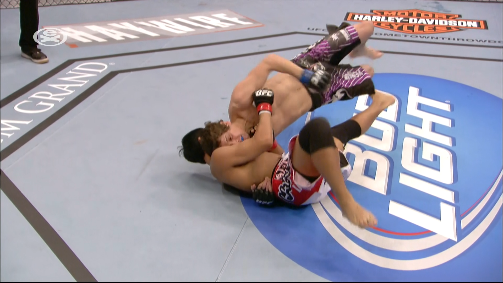 UFC 141 - Lesnar vs. Overeem_ (Main card)_30.12.2011_HDTV 1080i_POL_EN.ts_snapshot_00.30.51_[2016.05.28_11.35.30].png