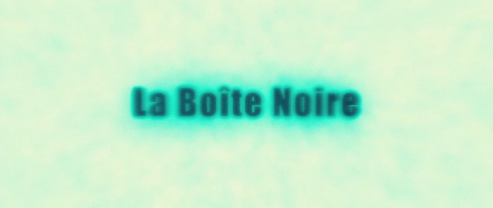 La.boite.noire.2005.720p.BluRay.DD5.1.x264-DON[(003647)12-12-43].PNG