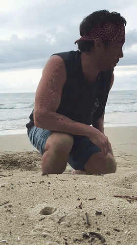 01.gif