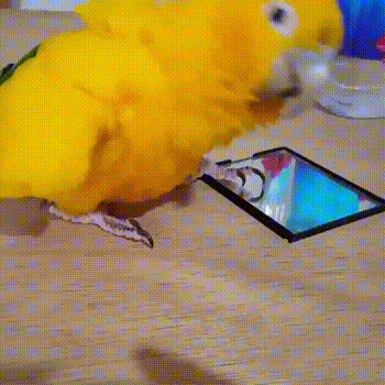 123.gif