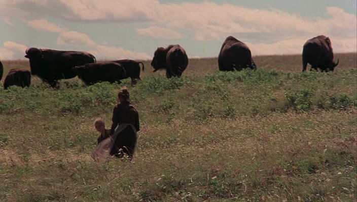 Days.of.Heaven.1978.bdrip_[2.18][12-28-11].PNG