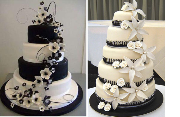 black-tort-1.jpg