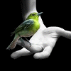 Pti4ka a pal'ce.gif
