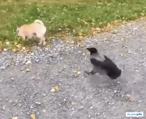123.gif