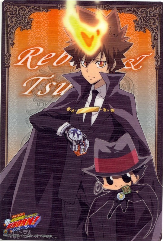 Katekyo.Hitman.REBORN!.full.906075.jpg