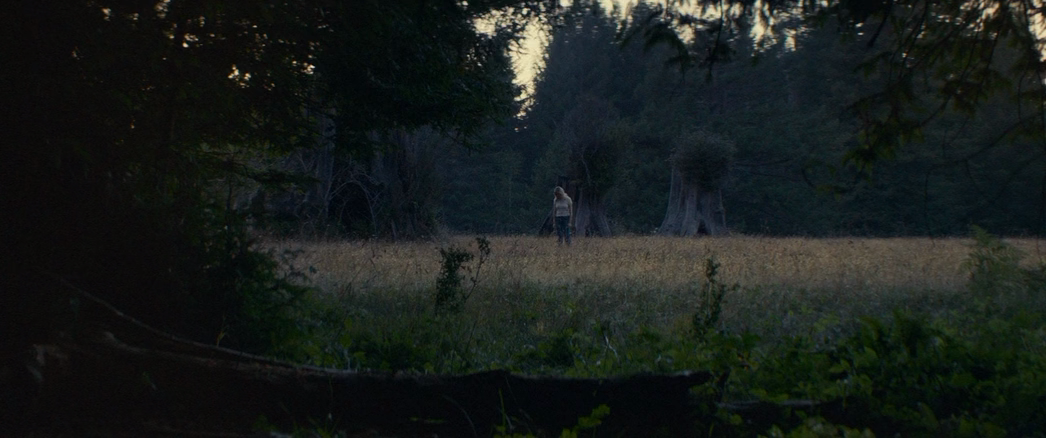 Вудшок (2017) HDRip-AVC_ivanrs20031987.mkv_20171116_230143.456.png