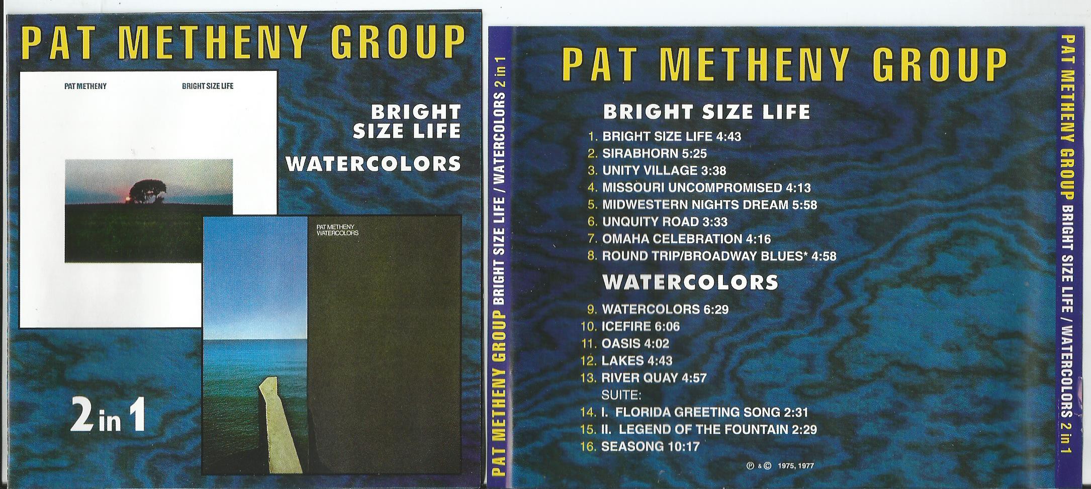 METHENY BRIGHT 2 IN 1.jpg