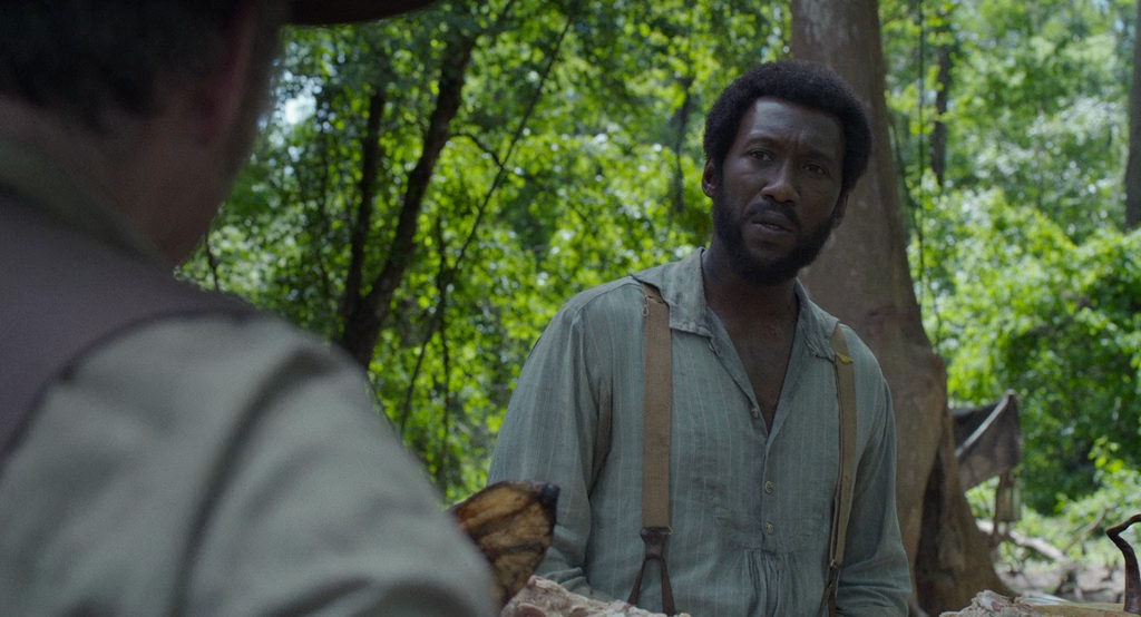 Свободный штат Джонса.(2016).BDRIP-AVC.mkv_20180929_091736.236.png