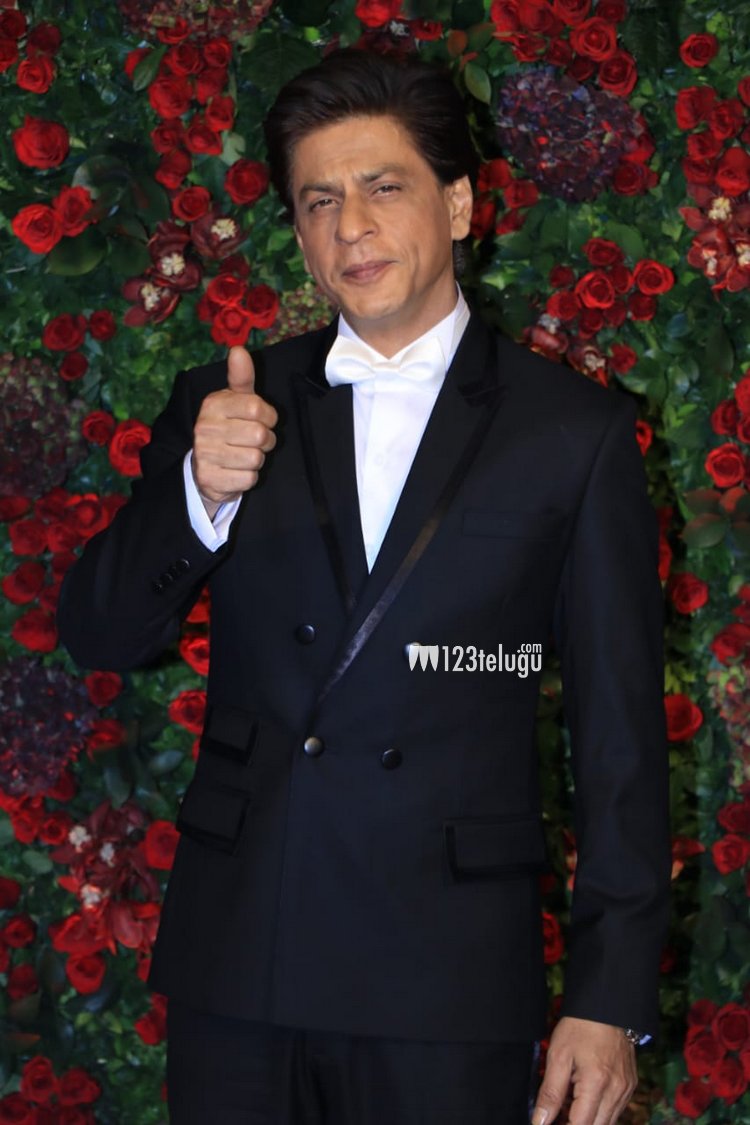 cel (17).jpg
