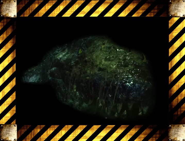 Враги Resident Evil 2: Remake Ee7c3d5f42121ee74bac9e017ee37b46