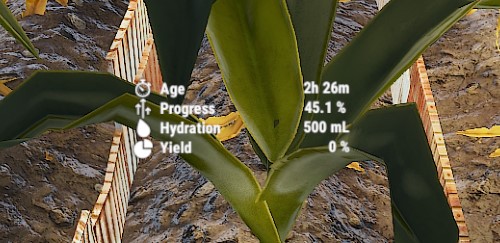 Unknown seeds