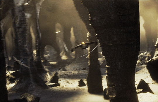 tumblr_poon6rb47N1qgojgxo6_540.gif