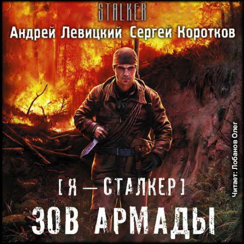 S.T.A.L.K.E.R. Зов Армады